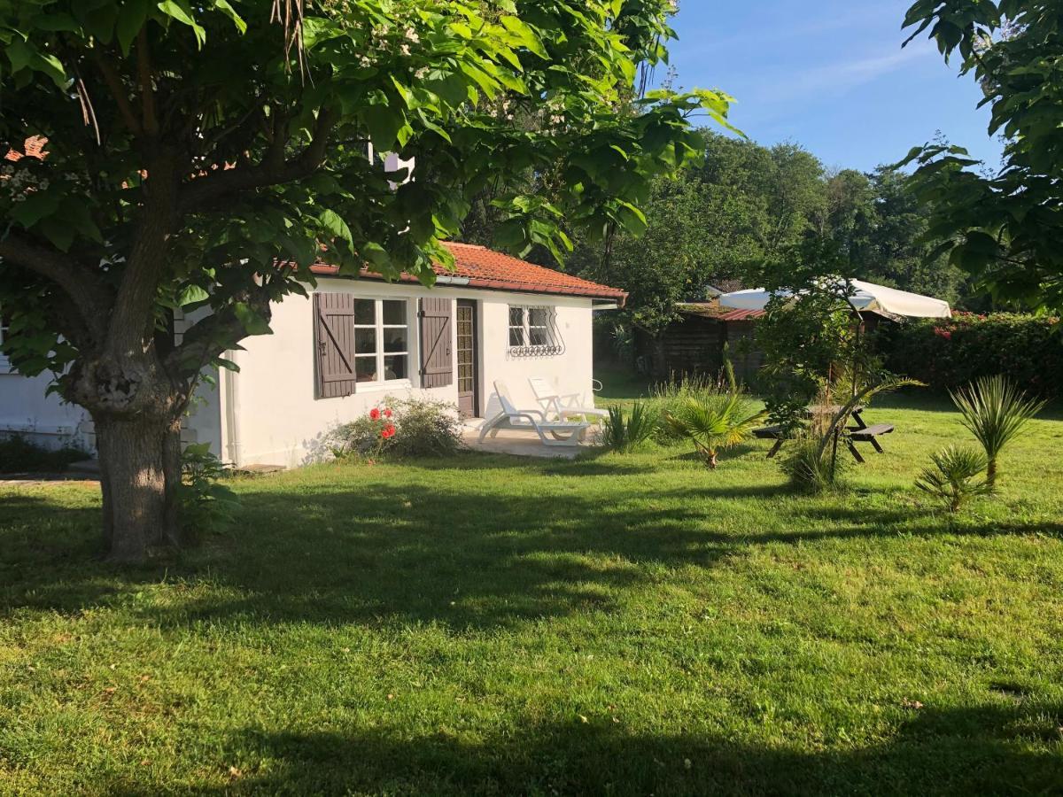 Villa Orcas Léon Exteriér fotografie