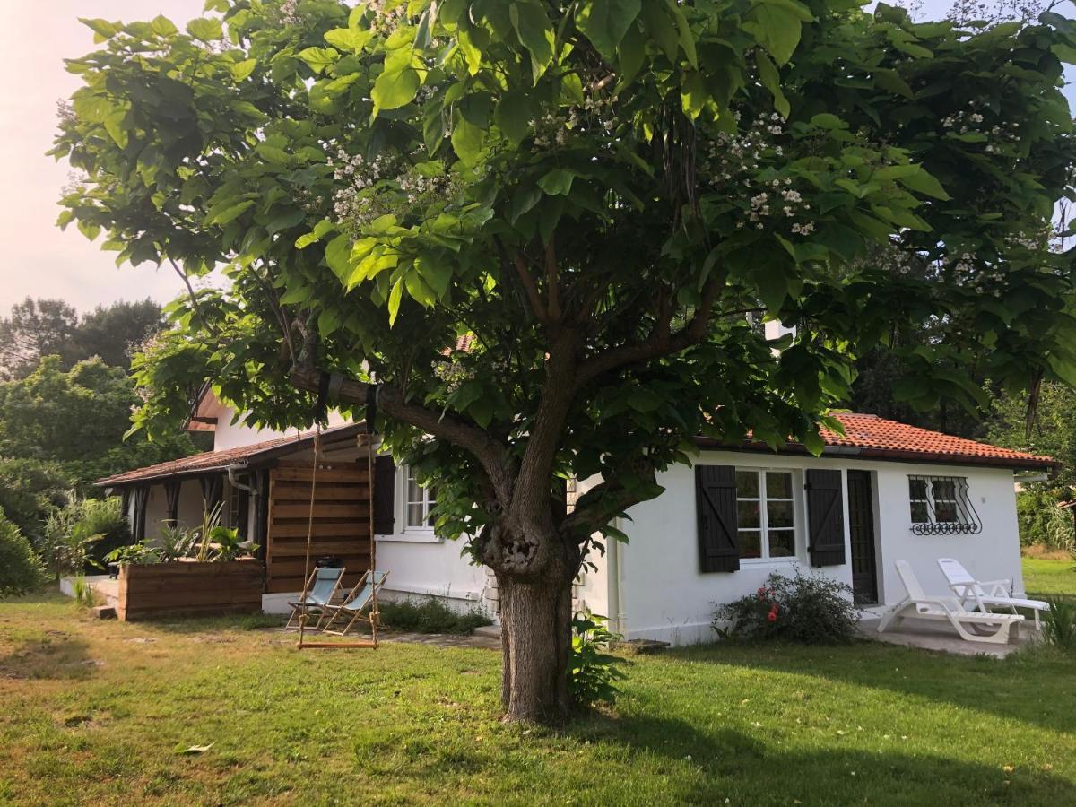 Villa Orcas Léon Exteriér fotografie
