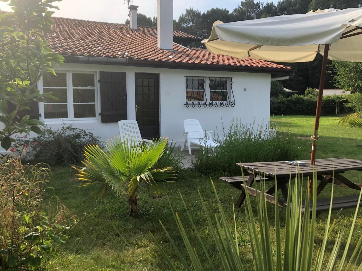 Villa Orcas Léon Exteriér fotografie