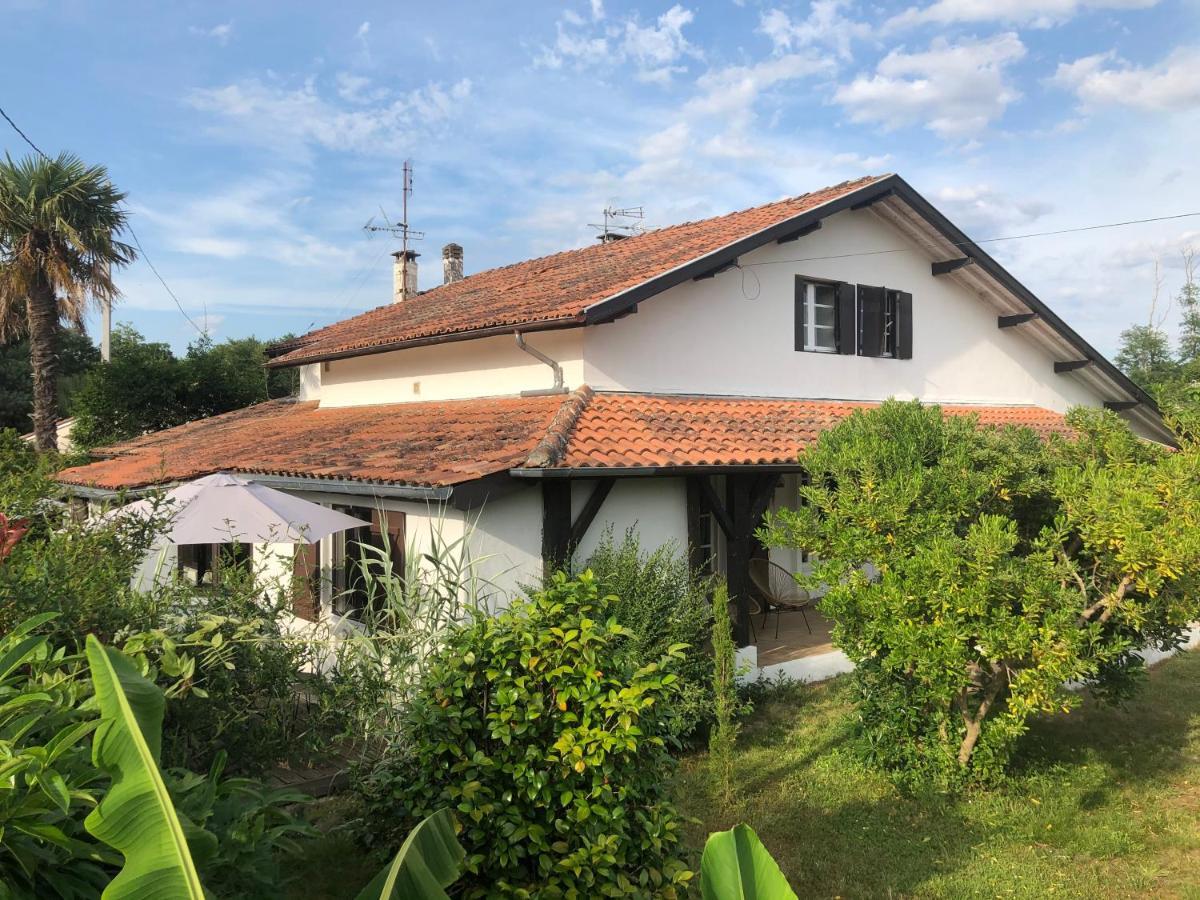 Villa Orcas Léon Exteriér fotografie